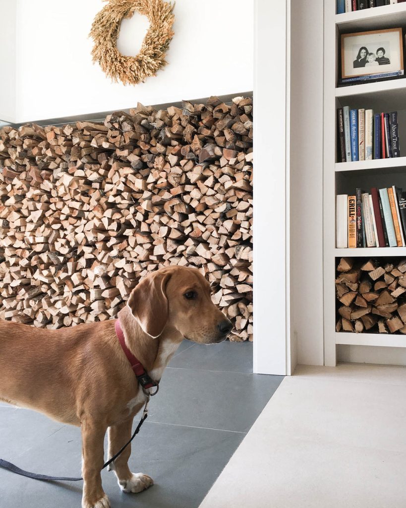 A wall of firewood (and the family dog) add warmth and coziness to a sleek design.